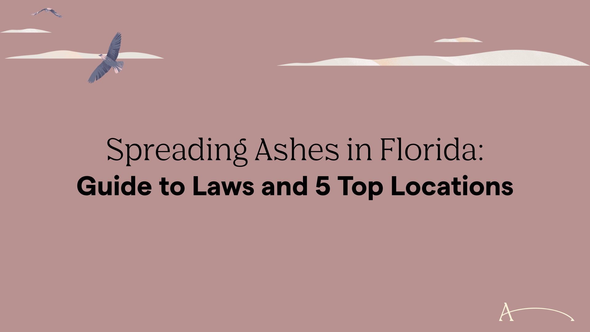 spreading-ashes-in-florida-guide-to-laws-and-5-top-locations-after